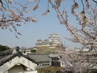 Himeji - Burg des weißen Reihers