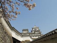 Himeji - Burg des weißen Reihers