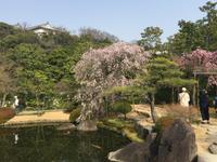 Himeji - japanischer Garten Koko-en
