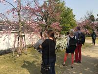 Himeji - japanischer Garten Koko-en