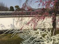 Himeji - japanischer Garten Koko-en