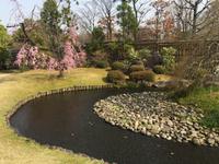 Himeji - japanischer Garten Koko-en