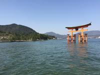 Insel Miyajima - Torii des Itsukushima-Schreins