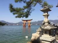 Insel Miyajima - Torii des Itsukushima-Schreins