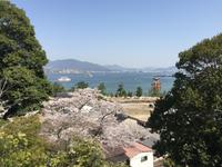 Insel Miyajima