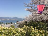 Insel Miyajima