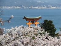 Insel Miyajima