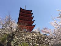 Insel Miyajima