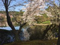 Kyoto - Ryoanji-Tempel