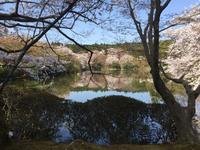 Kyoto - Ryoanji-Tempel