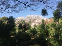 Kyoto - Ryoanji-Tempel
