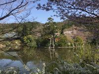 Kyoto - Ryoanji-Tempel