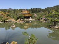 Kyoto - Rokuon-Ji Tempel - der Goldene Pavillon