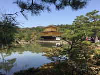 Kyoto - Rokuon-Ji Tempel - der Goldene Pavillon