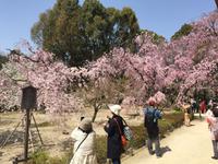 Kyoto - Heian-Schrein