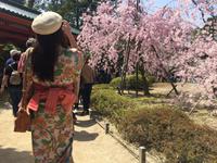 Kyoto - Heian-Schrein