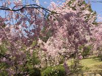 Kyoto - Heian-Schrein