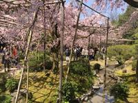 Kyoto - Heian-Schrein