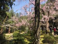 Kyoto - Heian-Schrein