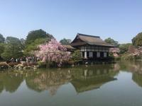 Kyoto - Heian-Schrein