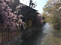 Spaziergang durch Kyoto