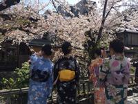 Spaziergang durch Kyoto