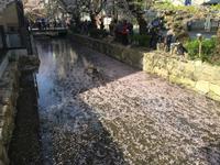 Spaziergang durch Kyoto