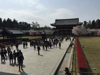 Nara - Todaiji-Tempel