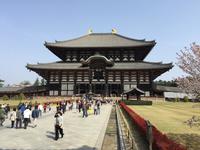 Nara - Todaiji-Tempel