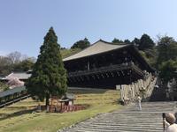 Nara-Park