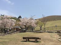Nara-Park