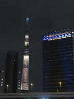 Skytree am Abend
