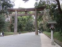 Tori beim Beiji-Schrein