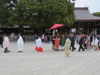 Hochzeit beim Meiji-Schrein