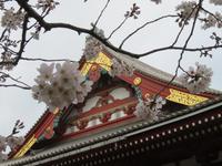 Sensoji Tempel