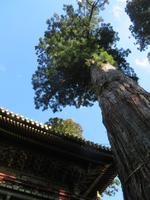 UNESCO Weltkulturerbe Toshogu Schrein