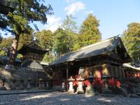 UNESCO Weltkulturerbe Toshogu Schrein