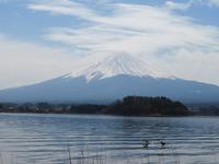 Fuji san und See Kawaguchi