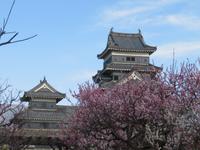 Burg Matsumoto