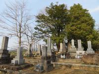 Friedhof im Kitayama Park