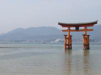 Insel Miyajima