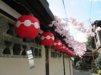 Im Bezirk der Geikos und Meikos