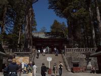 Tokyo - Ausflug nach Nikko - Toshogu Schrein