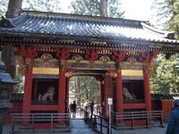 Tokyo - Ausflug nach Nikko - Toshogu Schrein