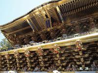 Tokyo - Ausflug nach Nikko - Toshogu Schrein