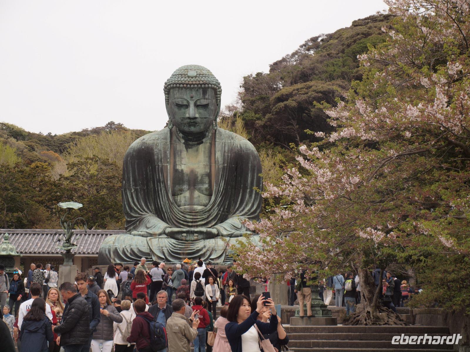 Kamakura - Großer Buddha