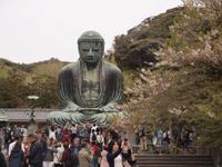 Kamakura - Großer Buddha