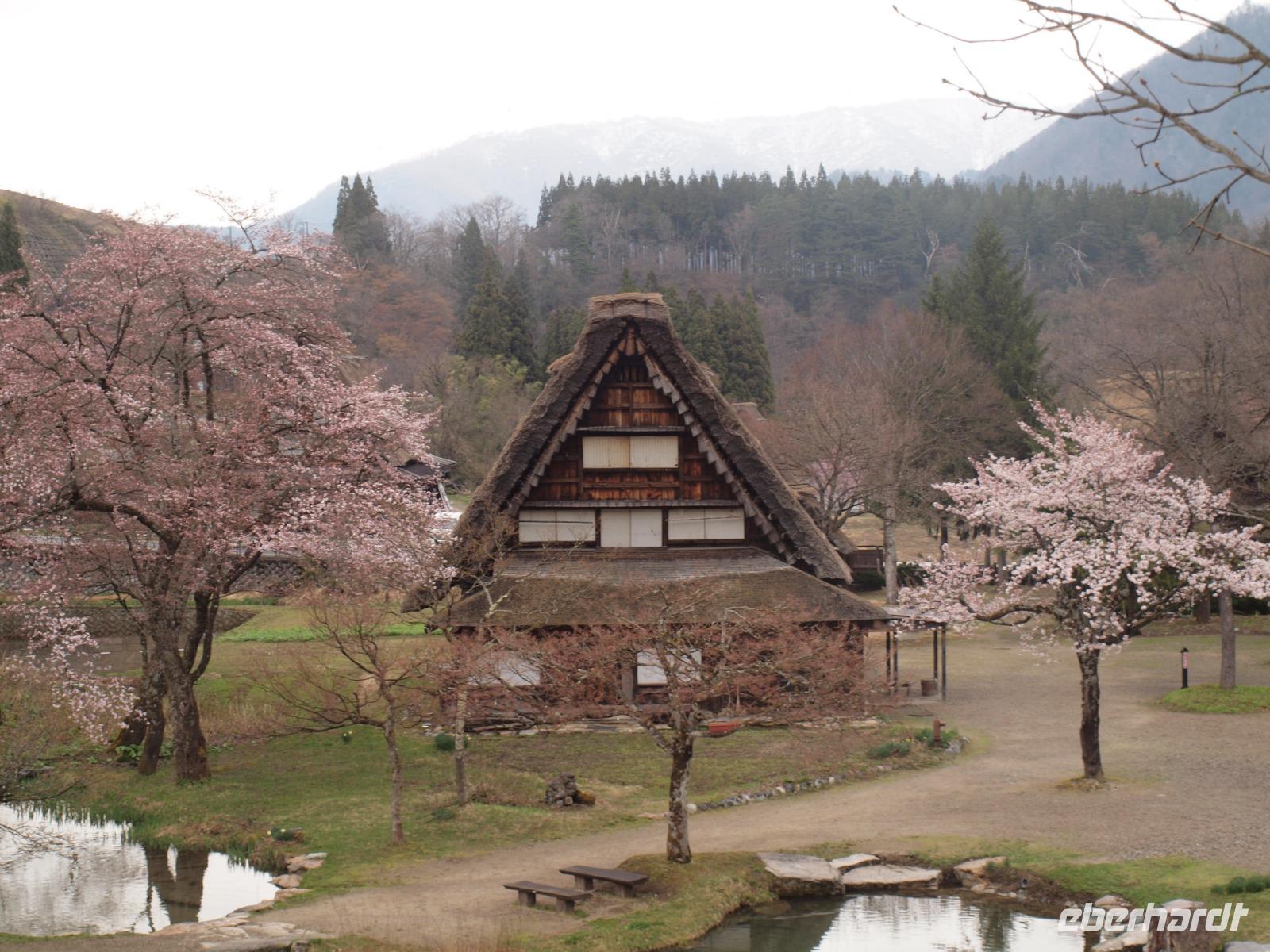 Takayama - Ausflug nach Shirakawa