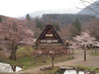 Takayama - Ausflug nach Shirakawa