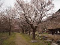 Takayama - Ausflug nach Shirakawa